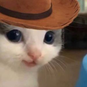 Meet your Posher, Courtney